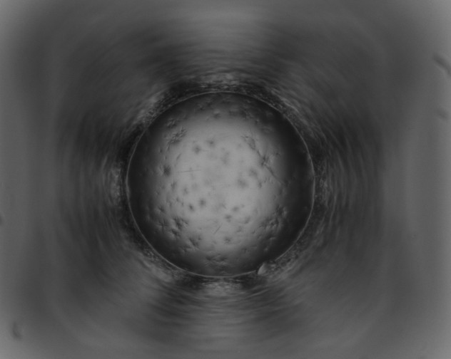 X0000095690708200801221247