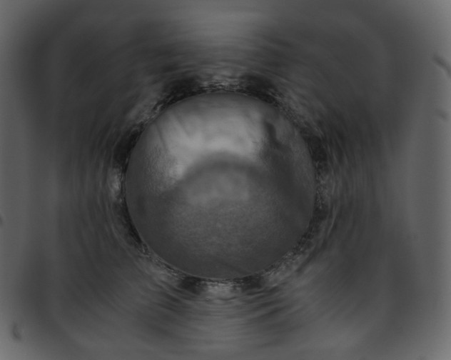 X0000095690709200801221247