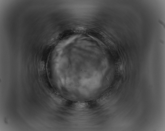 X0000095690711200801221247