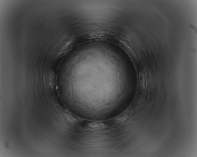 X0000095690712200801221247