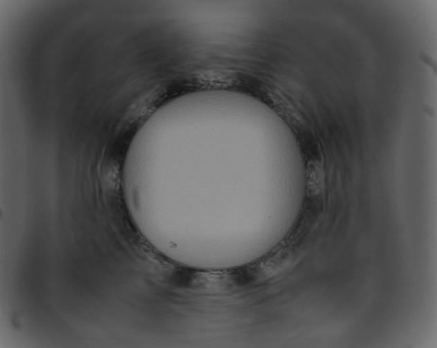 X0000095690713200801221247