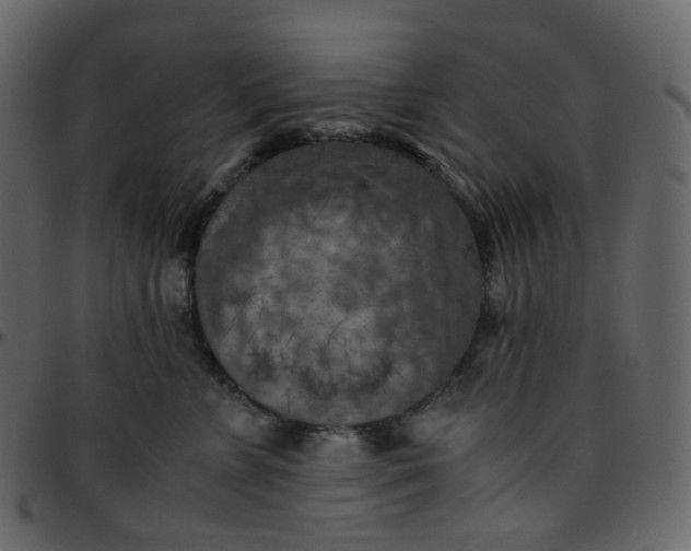 X0000095690715200801221247