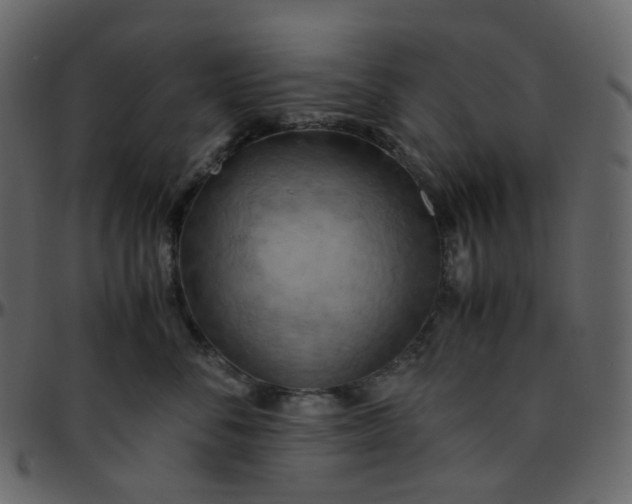 X0000095690716200801221247