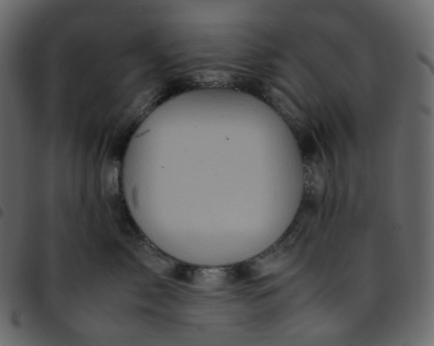 X0000095690717200801221247