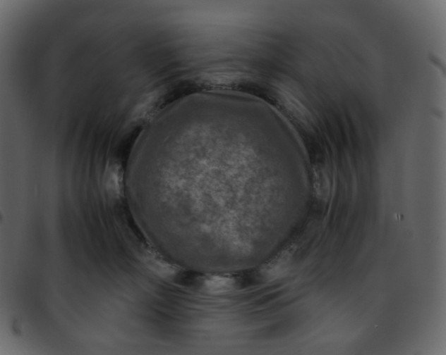 X0000095690718200801221247