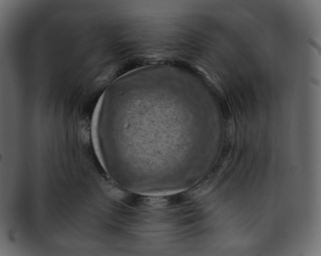 X0000095690719200801221247