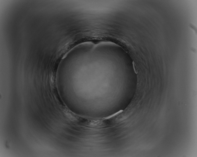 X0000095690720200801221247