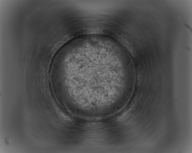 X0000095690721200801221247