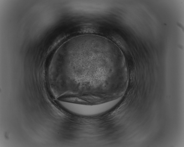 X0000095690722200801221247