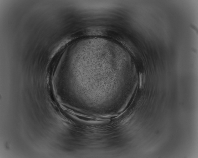 X0000095690723200801221247