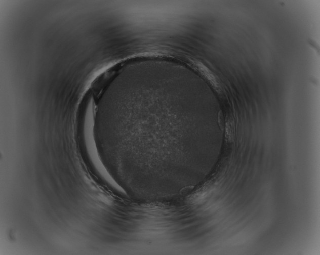 X0000095690724200801221247