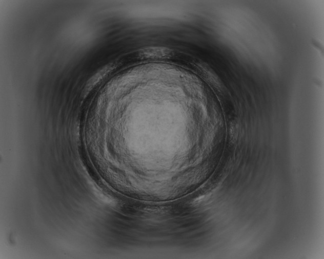 X0000095690725200801221247