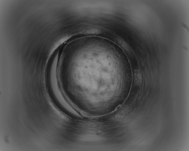 X0000095690726200801221247