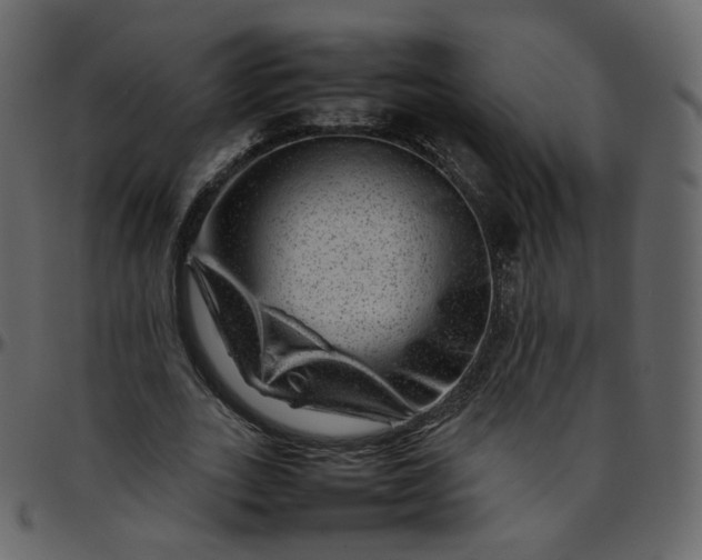 X0000095690727200801221247