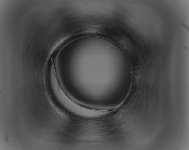 X0000095690728200801221247