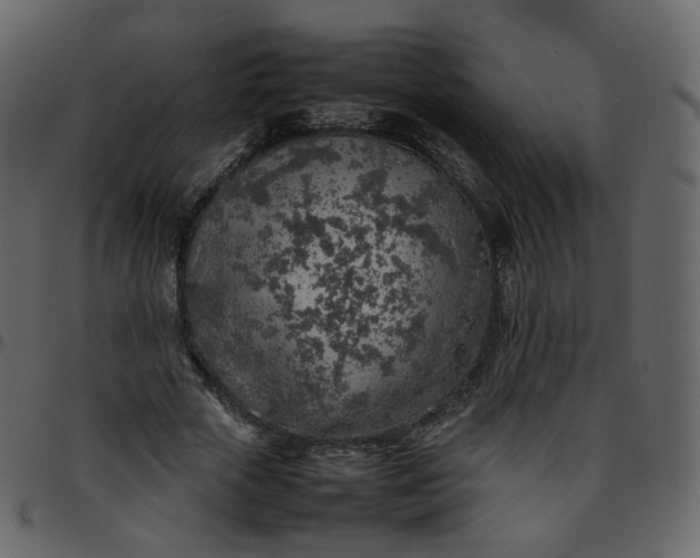 X0000095690729200801221247