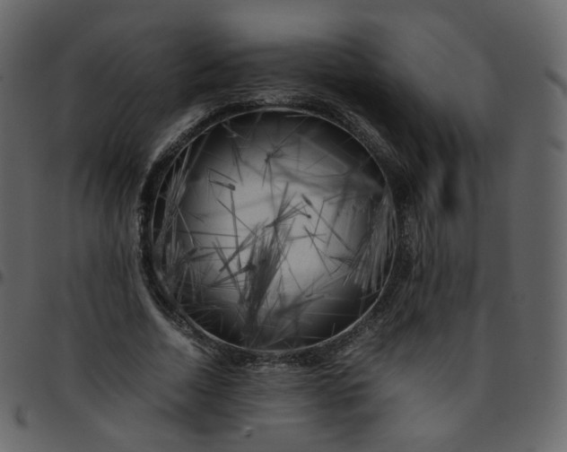 X0000095690730200801221247