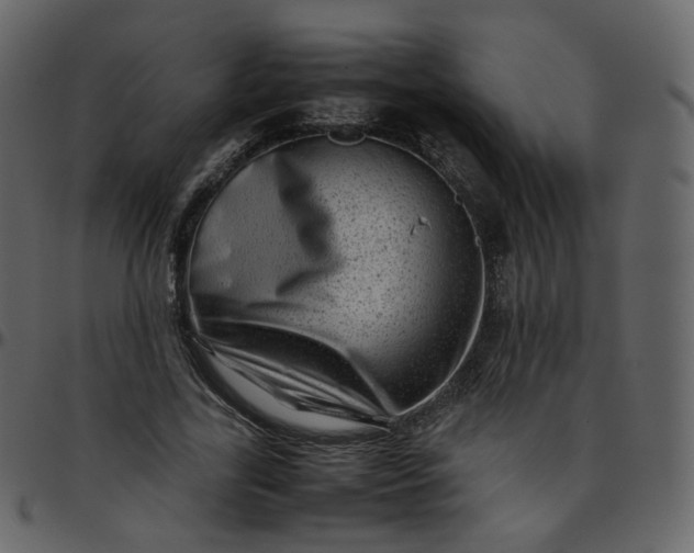 X0000095690731200801221247