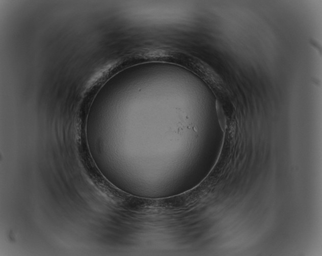 X0000095690732200801221247