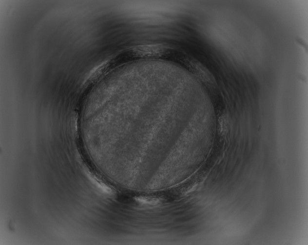 X0000095690733200801221247