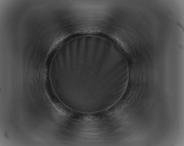 X0000095690736200801221247