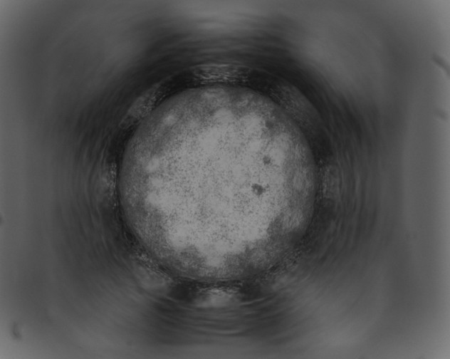 X0000095690737200801221247