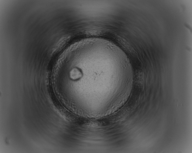 X0000095690738200801221247