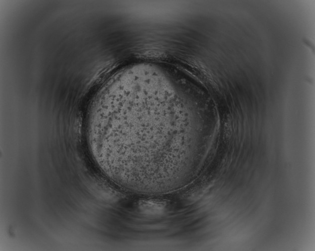 X0000095690739200801221247