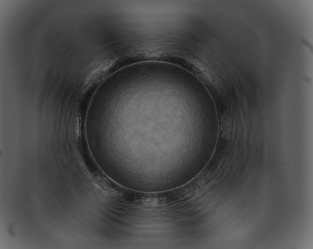 X0000095690740200801221247