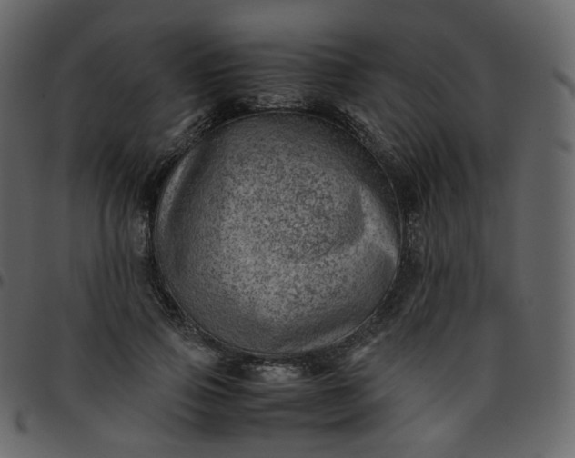 X0000095690741200801221247