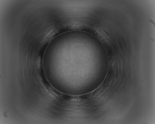 X0000095690744200801221247