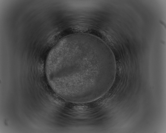 X0000095690745200801221247