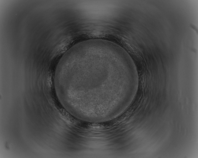 X0000095690746200801221247