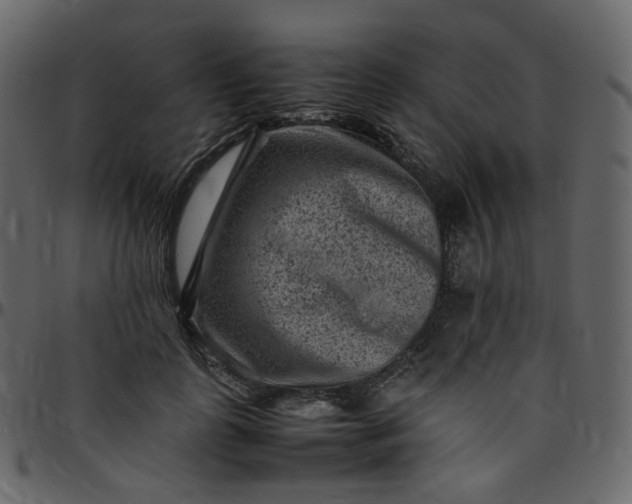 X0000095690747200801221247