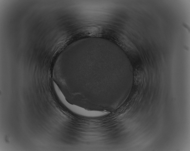 X0000095690748200801221247