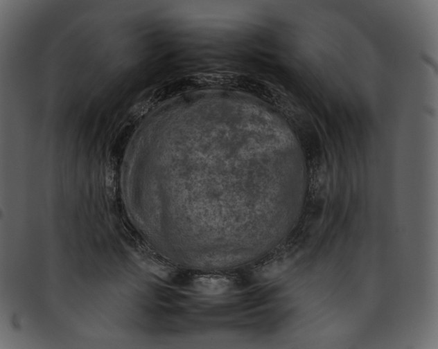 X0000095690749200801221247