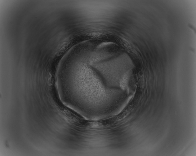 X0000095690750200801221247