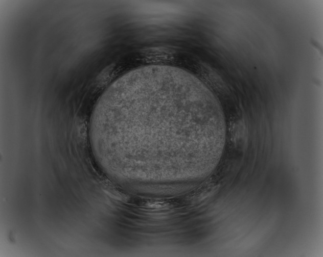 X0000095690753200801221247