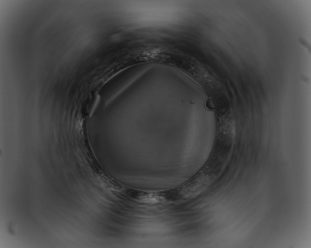 X0000095690754200801221247