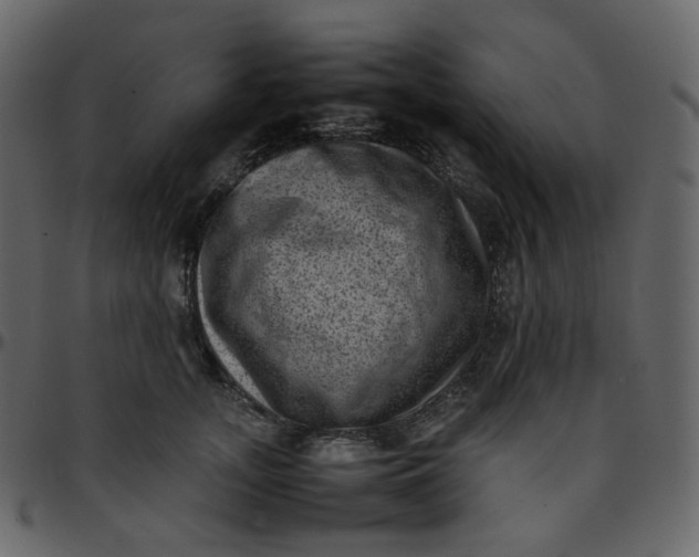 X0000095690755200801221247