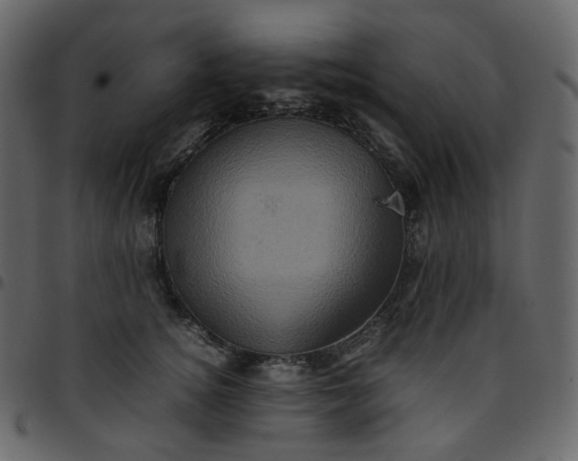 X0000095690756200801221247