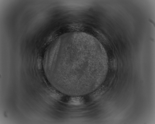 X0000095690757200801221247