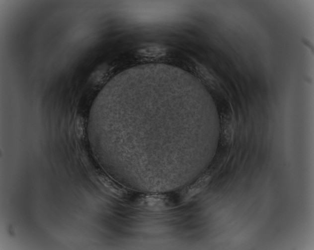 X0000095690758200801221247