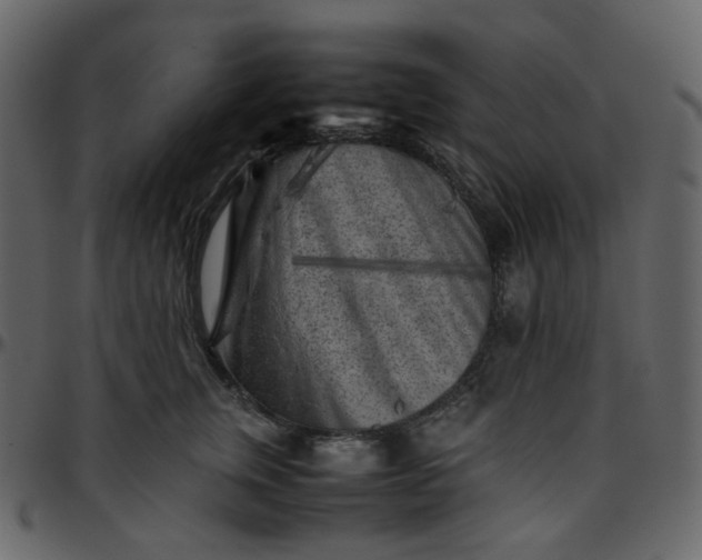 X0000095690759200801221247