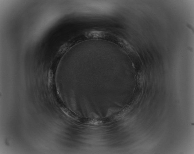 X0000095690760200801221247