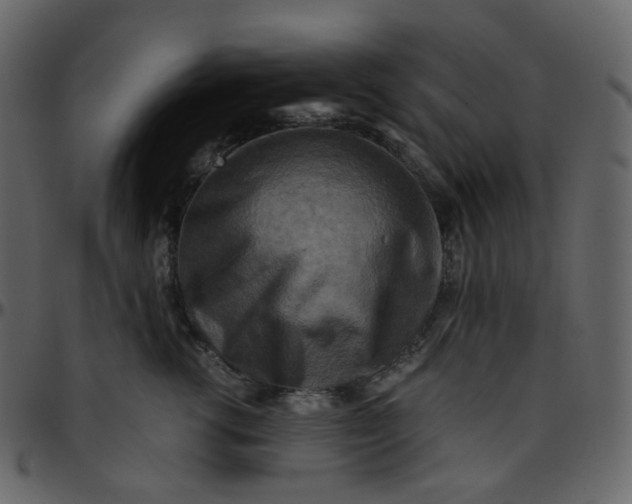 X0000095690762200801221247