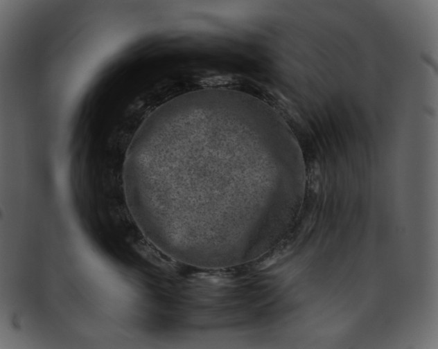 X0000095690763200801221247