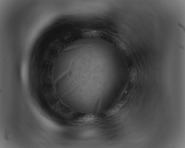 X0000095690764200801221247