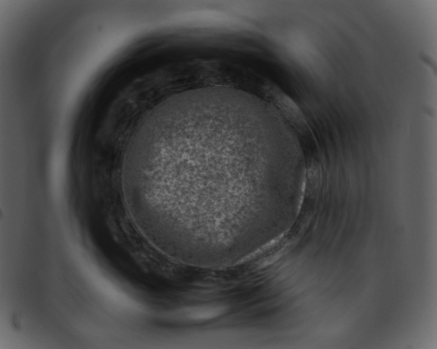 X0000095690765200801221247