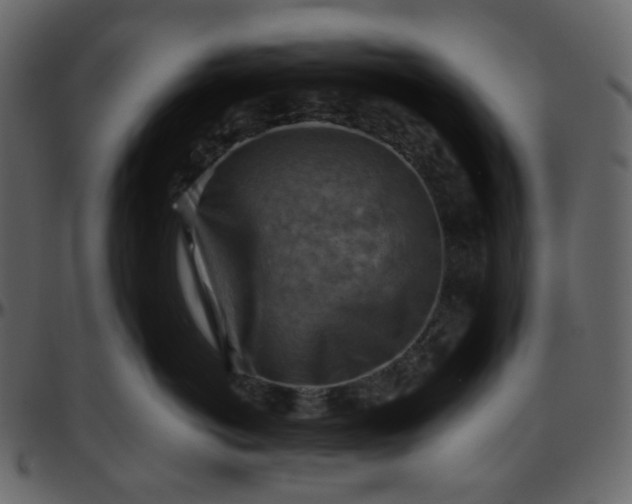 X0000095690766200801221247